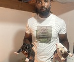 Small breeder photo