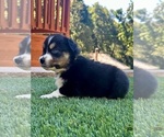 Small #7 Breeder Profile image