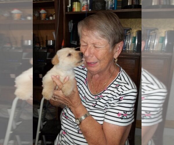 Medium Photo #11  Breeder Profile in MEAD, WA, USA