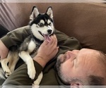 Small #45 Breeder Profile image
