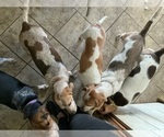 Small #3 Breeder Profile image