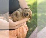 Small #24 Breeder Profile image