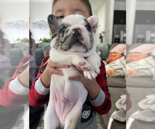 Medium Photo #4  Breeder Profile in BLOOMINGTON, UT, USA