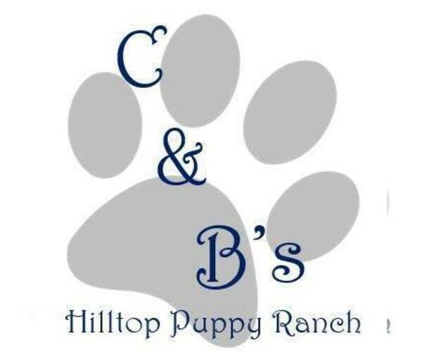 Medium Photo #1  Breeder Profile in PLATO, MO, USA