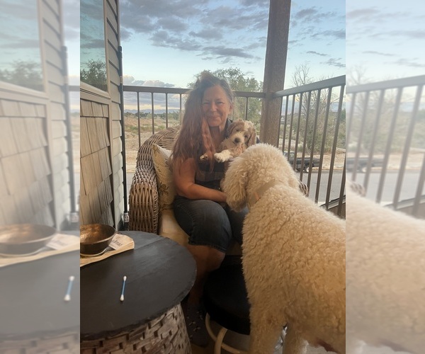 Medium Photo #17  Breeder Profile in GRAND JCT, CO, USA