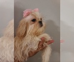 Small #16 Breeder Profile image