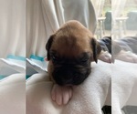 Small #4 Breeder Profile image