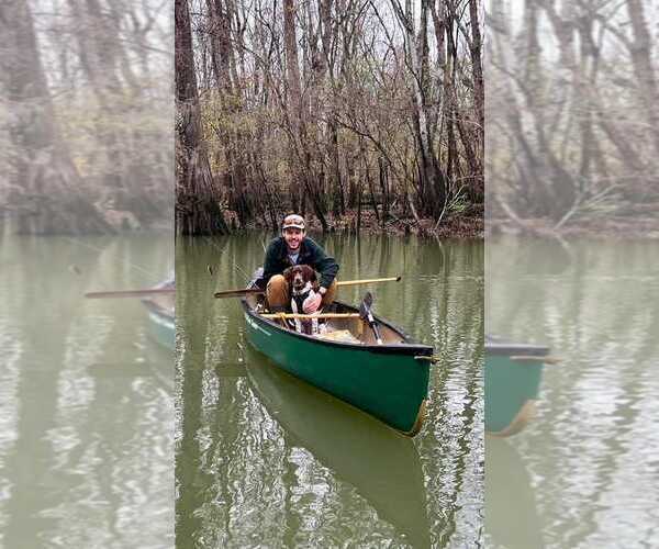 Medium Photo #88  Breeder Profile in HORTENSE, GA, USA