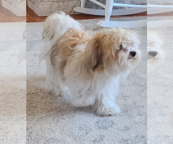 Medium Photo #1  Breeder Profile in MULVANE, KS, USA