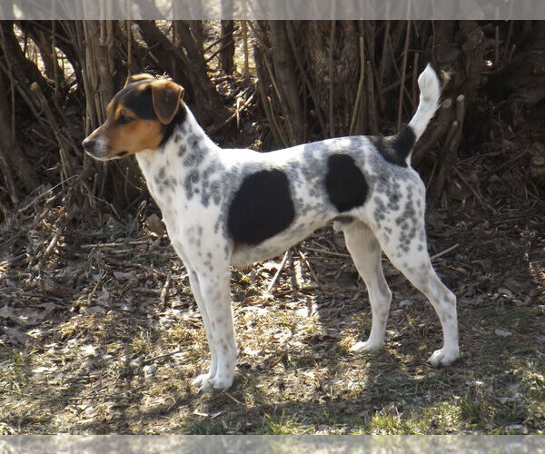 Medium Photo #1  Breeder Profile in ALCESTER, SD, USA