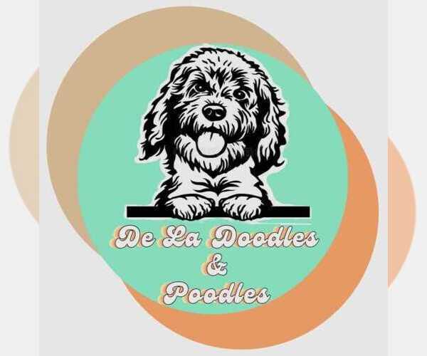 Medium Photo #1  Breeder Profile in WALNUT GROVE, CA, USA