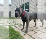 Small #13 Breeder Profile image