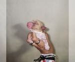 Small #14 Breeder Profile image
