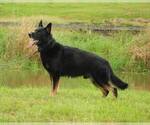 Small #4 Breeder Profile image
