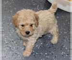 Small #14 Breeder Profile image