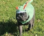Small #19 Breeder Profile image