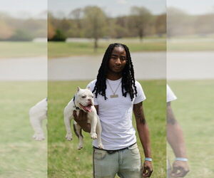 Medium Breeder Profile Photo