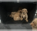 Small #27 Breeder Profile image