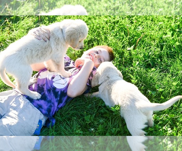 Medium Photo #18  Breeder Profile in OTTUMWA, IA, USA