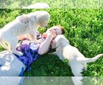 Small #17 Breeder Profile image