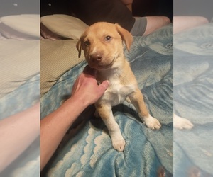Medium Breeder Profile Photo
