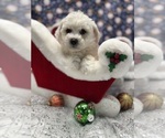 Small #13 Breeder Profile image