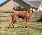 Small #67 Breeder Profile image