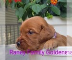 Small #8 Breeder Profile image