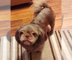 Small Photo #5  Breeder Profile in FANNING SPGS, FL, USA