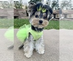 Small #11 Breeder Profile image