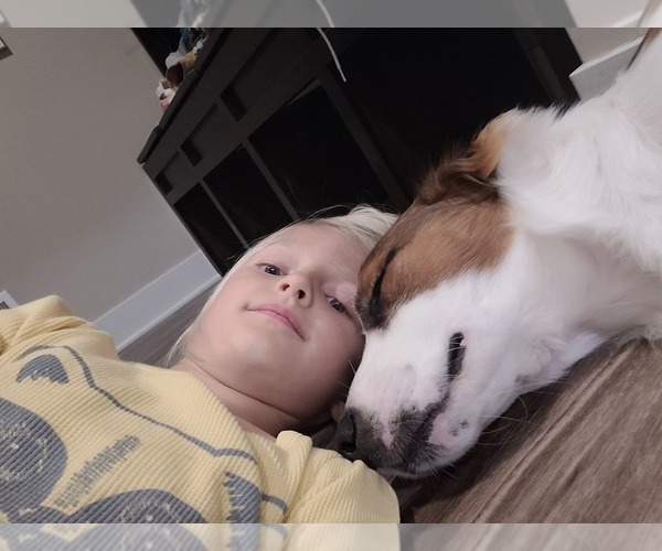 Medium Photo #35  Breeder Profile in PARIS, MI, USA