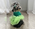 Small #21 Breeder Profile image