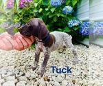 Small #8 Breeder Profile image
