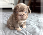 Small #11 Breeder Profile image