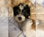 Small #3 Breeder Profile image