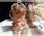 Small #103 Breeder Profile image