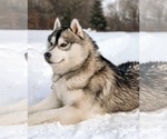 Small #1 Breeder Profile image
