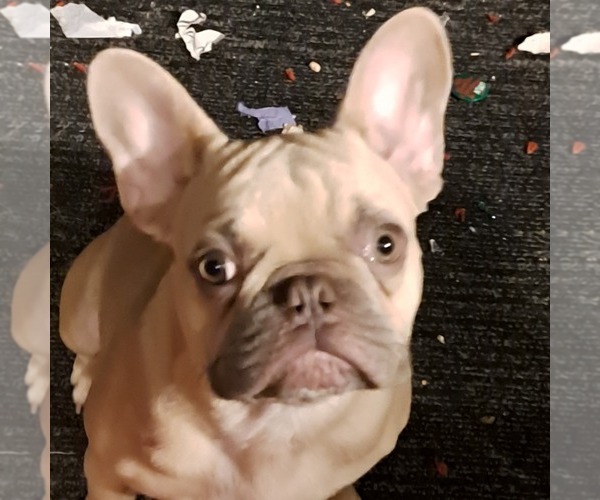 Medium Photo #1  Breeder Profile in PURDON, TX, USA