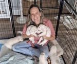 Small #12 Breeder Profile image