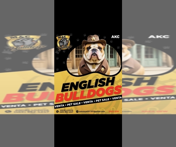 Medium Photo #2  Breeder Profile in ARGYLE, TX, USA