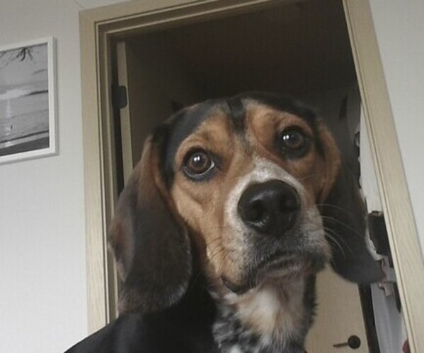 Medium Photo #1  Breeder Profile in MADISON, WI, USA