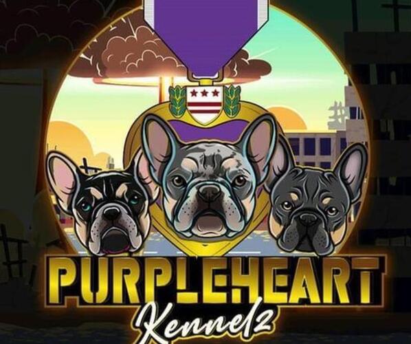 Medium Photo #1  Breeder Profile in GREENSBORO, NC, USA