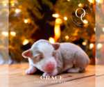 Small #4 Breeder Profile image