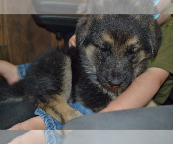Medium Photo #2  Breeder Profile in GREENWOOD, WI, USA