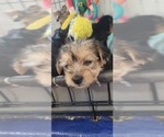 Small #315 Breeder Profile image