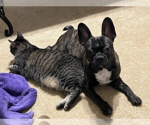 Medium Photo #2  Breeder Profile in ANNISTON, AL, USA