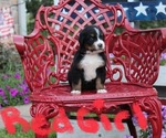 Small #3 Breeder Profile image