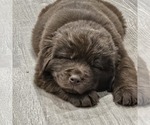 Small #4 Breeder Profile image