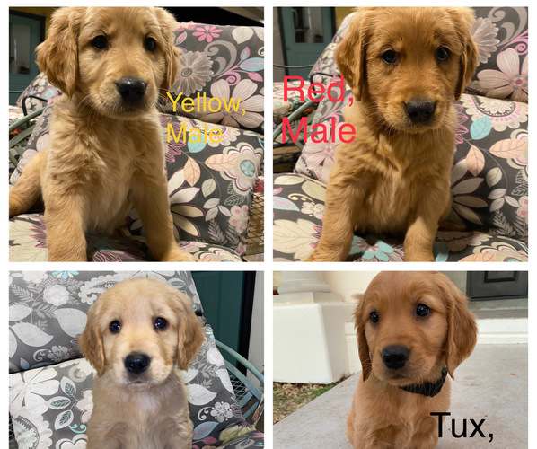Medium Photo #1  Breeder Profile in BENTON, KS, USA