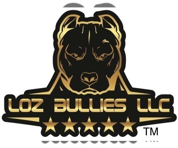 Medium Photo #1  Breeder Profile in GREELEY, CO, USA